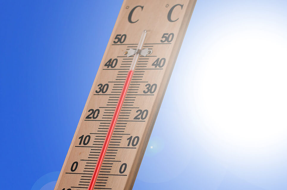 Thermometer zeigt 39 Grad Cellcius
