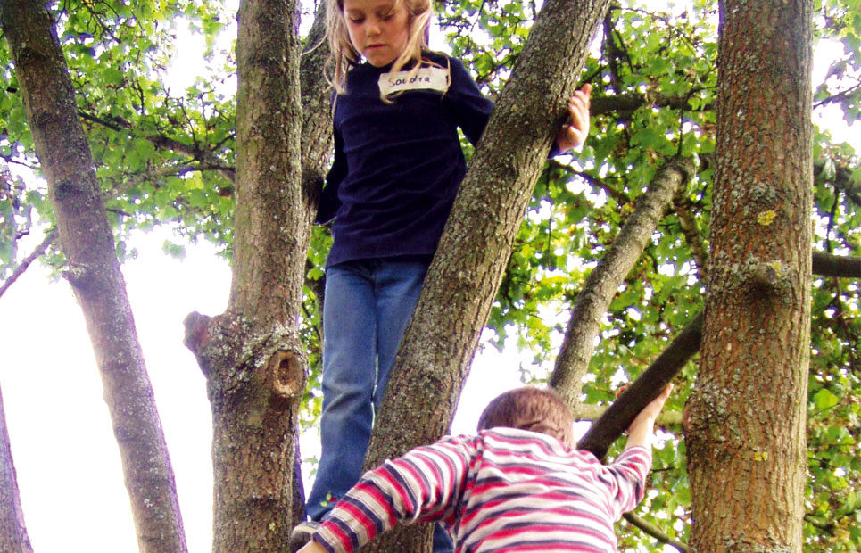 Kinder klettern auf Baum