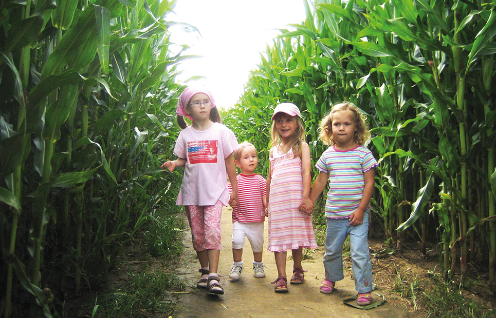 Vier Mädchen halten sich an der Hand und laufen durch ein Maislabyrinth