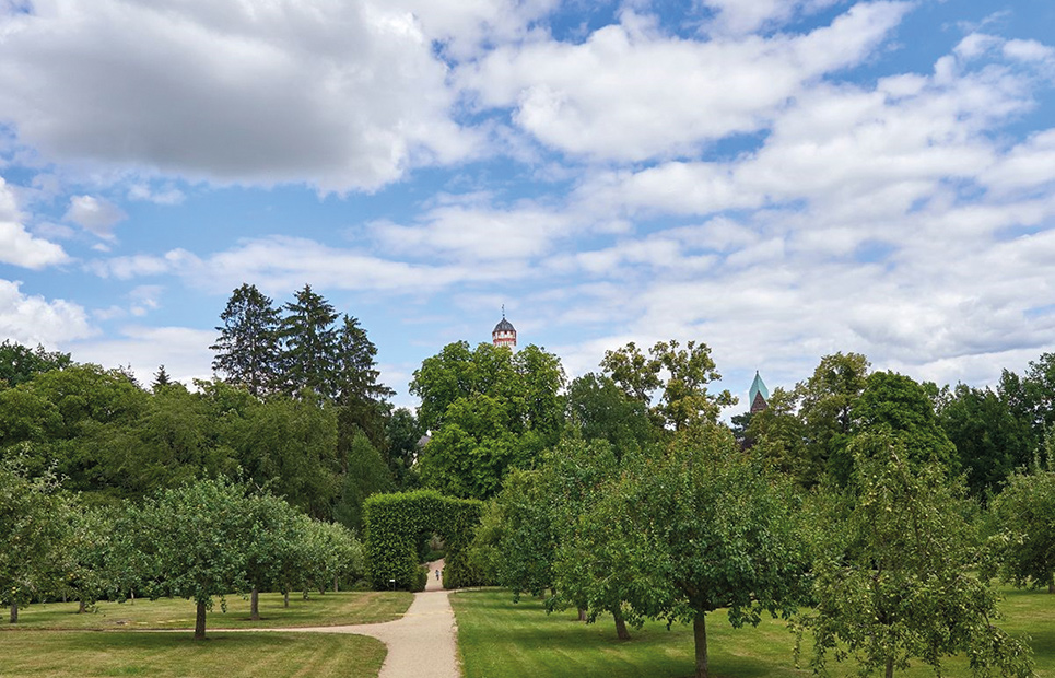 Ansicht auf den Wissensgarten im Schlosspark Bad Homburg
