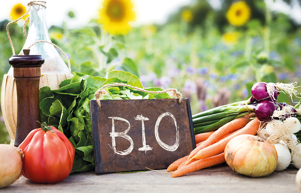 Gemüse und ein Schild, auf dem "Bio" steht