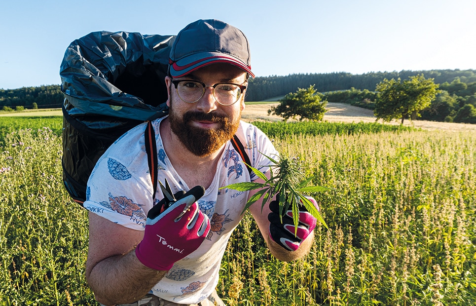 Philipp Gärtner steht in einem Hanf-Feld und hält eine Hanfpflanze hoch.